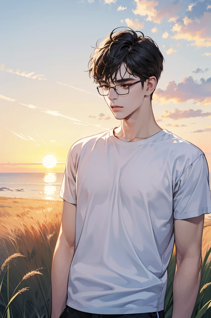 (absurdres, highres, ultra detailed, realistic, ), 1 boy,mature, solo, short black hair, white T-shirt,brown eyes, (glasses), grass and sunrise sky background, ultra - detailed, best quality, Detailed diagram, vectorized, 8K, Graphic design, vector lines, Full-HD,full body