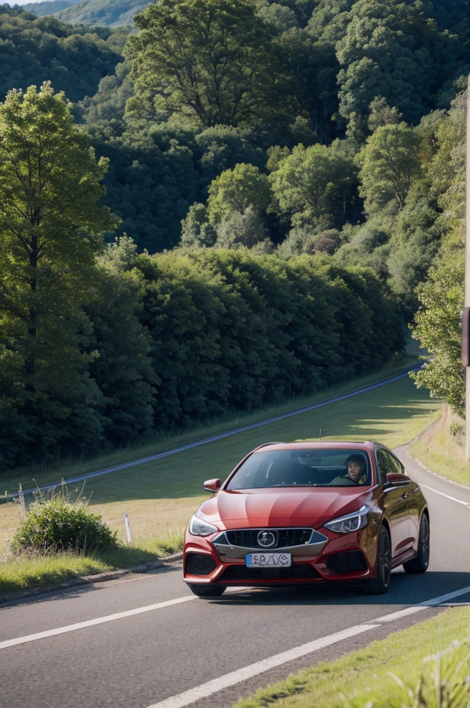 Beautiful roadside scenery,Close-up sense of speed