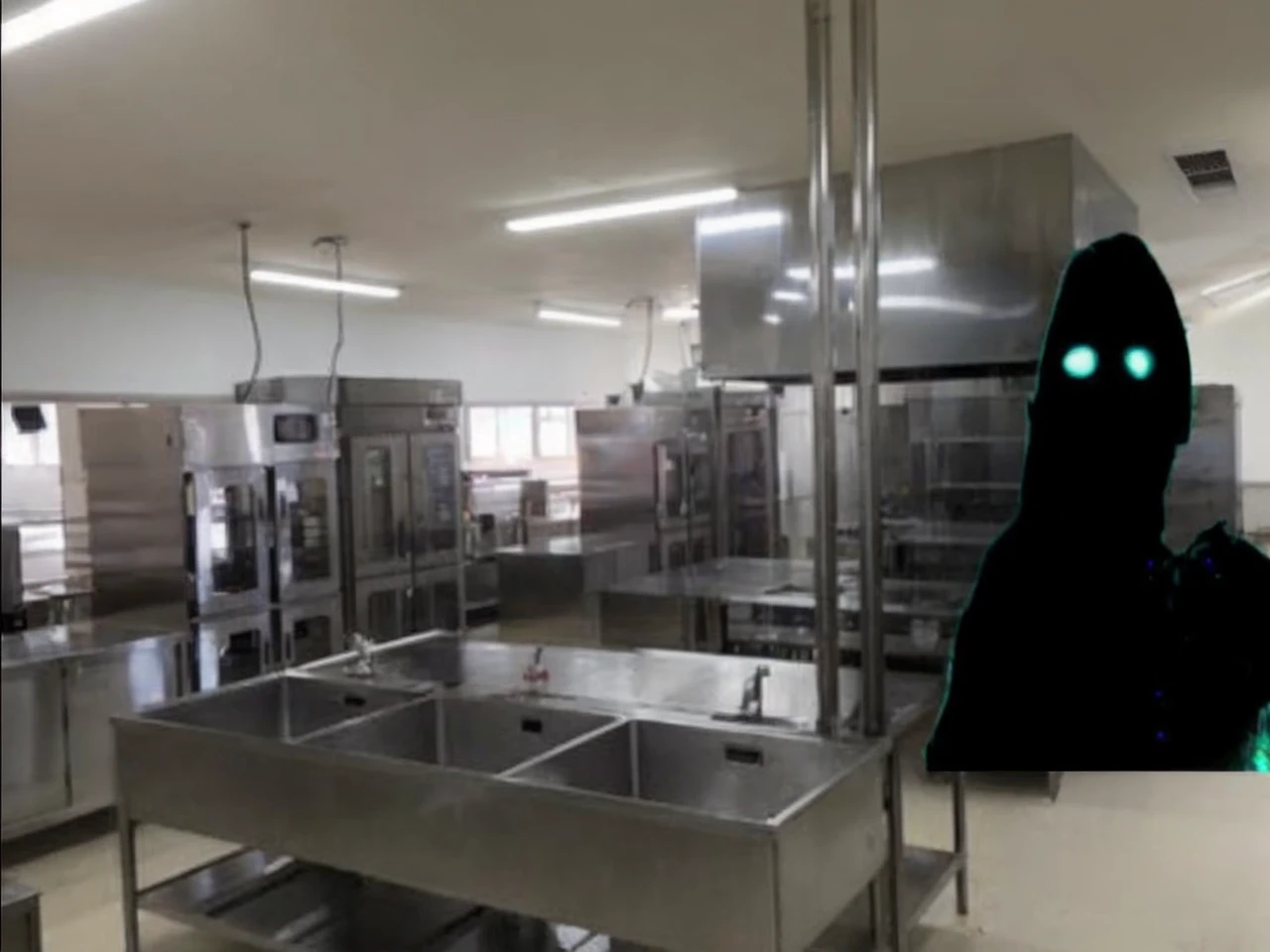 There is a black shadow-like monster with the electricity cut off.