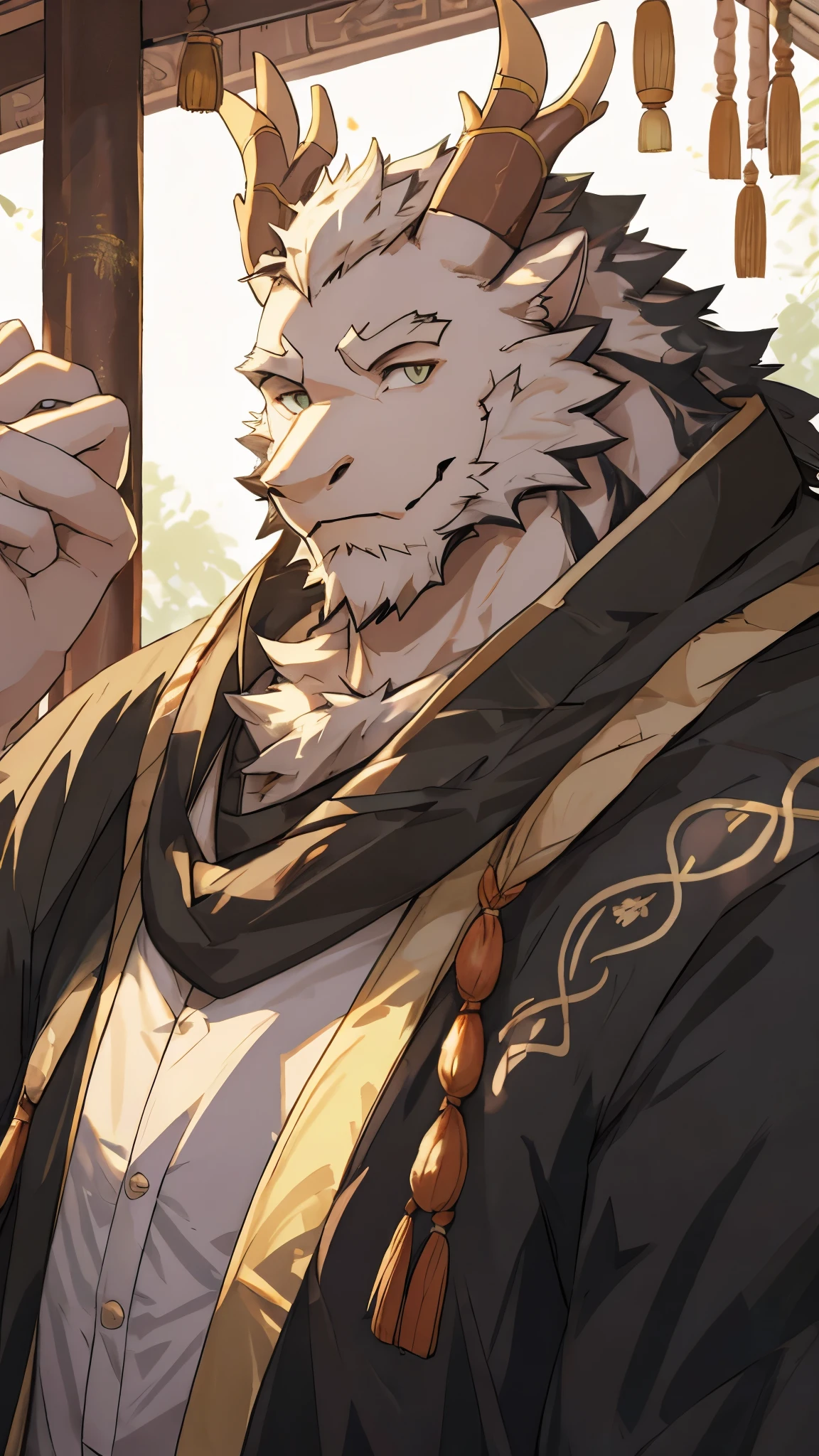 (white eastern dragon),furry,white mustache,big pecs,hearty males,muscular,black imperial robe,adult,traditional_chinese_room,head portrait
