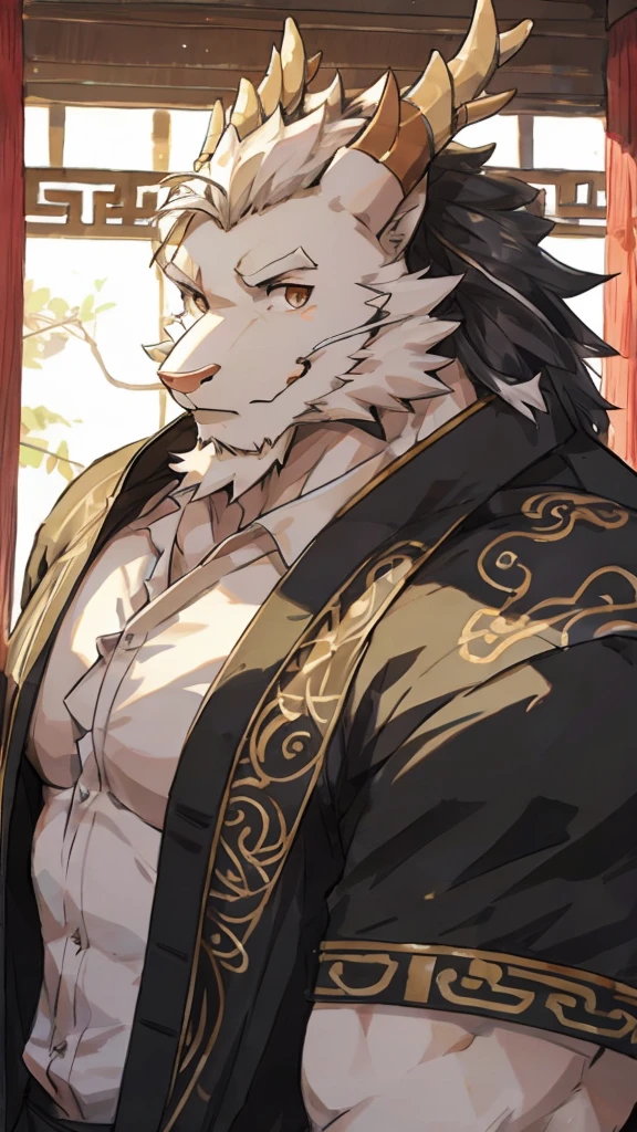 (white eastern dragon),furry,white mustache,big pecs,hearty males,muscular,black imperial robe,adult,traditional_chinese_room,head portrait