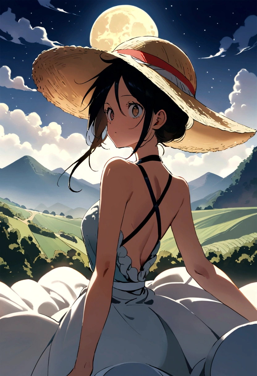 Peux tu me générer une image de Monkey D. Luffy dans one peace, avec son chapeau de paille, de dos qui regarde la lune. Ciel sombre et lune très brillante.