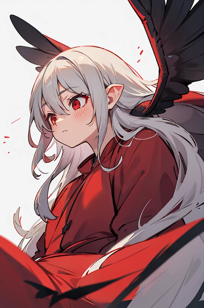 gray hair, red eyes, long hair, , Balaur