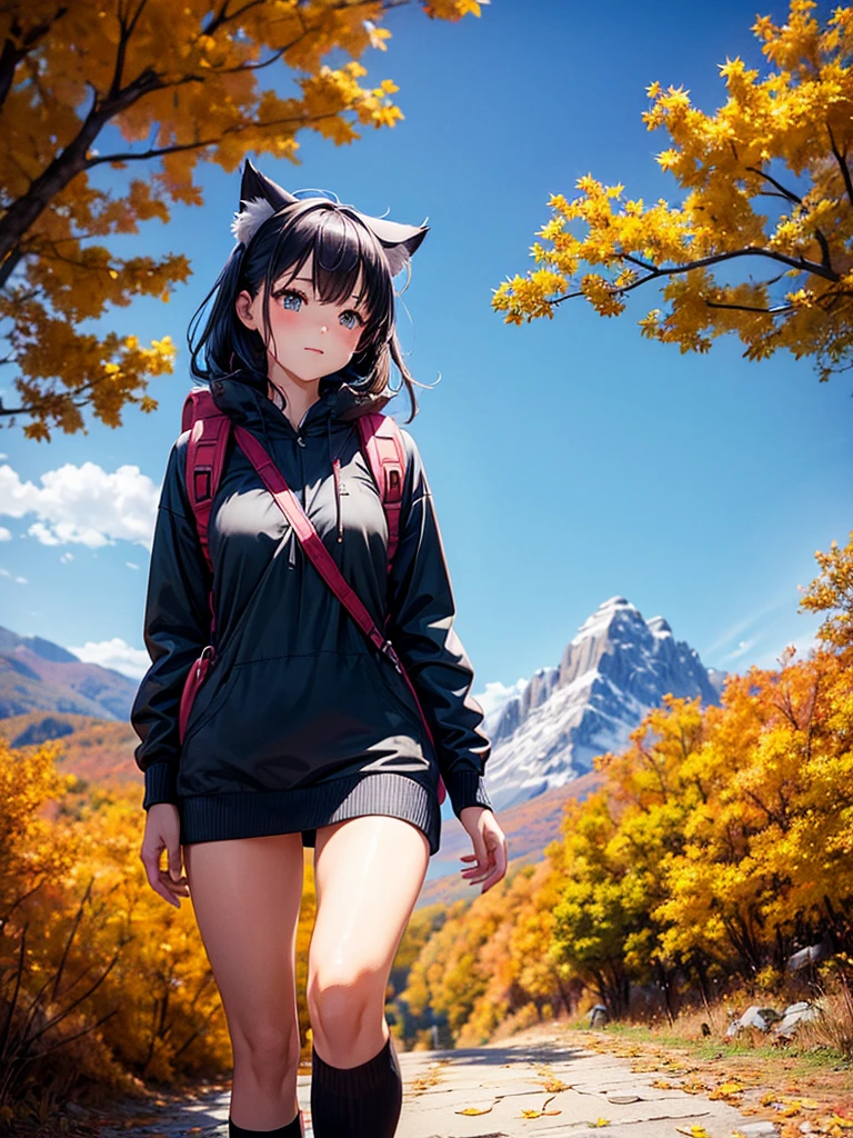 Highest quality,Highest Resolution,A beautiful girl with cat ears walking along a mountain path in autumn leaves,hiking,Backpack,up,looking at the camera,