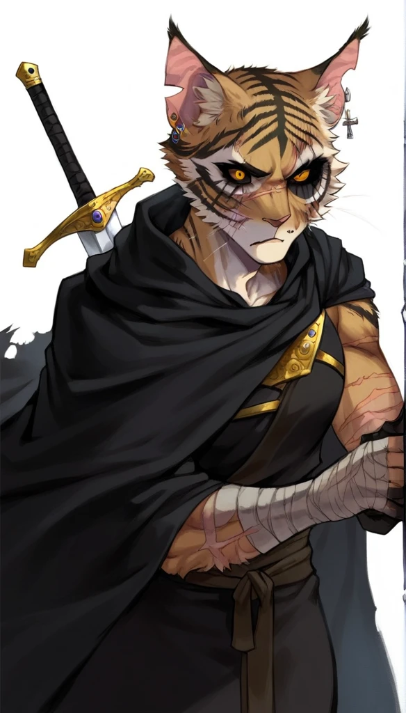 score_9, score_8_up, score_7_up, (clear simple background, white background, papyrus background), ((tabaxi), anthro, solo, female, (portrait), (focus), (holding, assassin, rogue), ((wearing dark robe, cape)), (cat fur)), beautiful, silver digger, shiny silver knife, damaged cat ear, tabaxi damaged ear, torn feline ear, battle scars on ear, sword cross-guard, old sword guard, (damaged in battel guard:0.5), scars, scars stripes, scars marks, battle scars, claw scars marks, ((damaged eye:1.3)), ((demon eye:1.3)), ((earrings, ear jewelery))