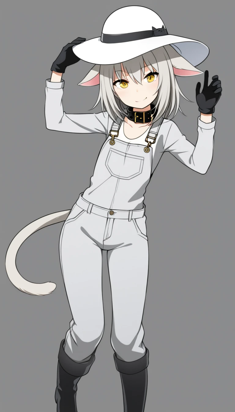 Gray-haired girl with cat tail and ears, full white hat with brim, alone, white long sleeves, light grey denim overalls, long black gloves, long black boots, cute wink face, no human ears, mid-chest, yellow eyes, black collar, posing on a full gray background