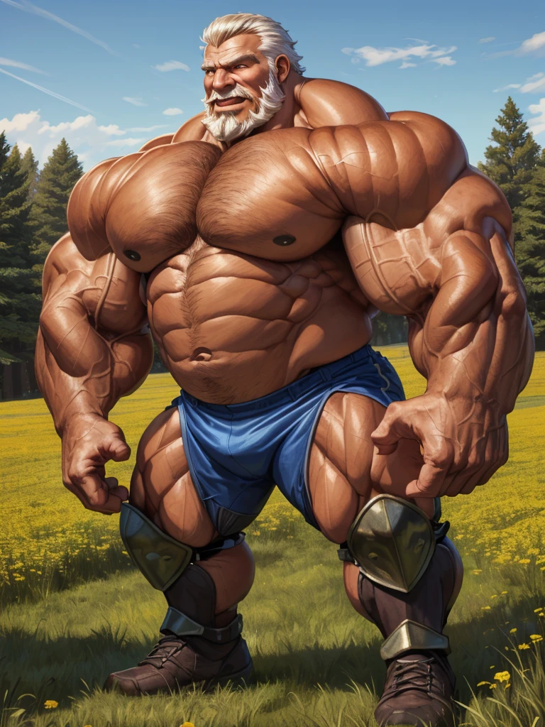 huge muscular old man in meadow, wearing armor, battle fields, white and short hair, white beard, old, old man, grandpa, (huge muscular), detailed muscles, 8k, masterpiece:1.2, hyper realistic, highly detailed full body, ((really big muscle, massive muscular, sixpack, thick arms, wide pectoral, super huge muscle, hyper muscular, over sized muscle, huge arms, big arms, huge pectoral)), natural lighting wrinkled skin, happy expression
