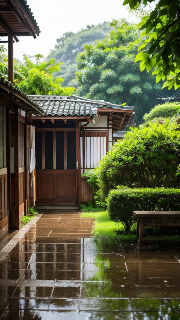 rain、Fresh greenery seen from an old house