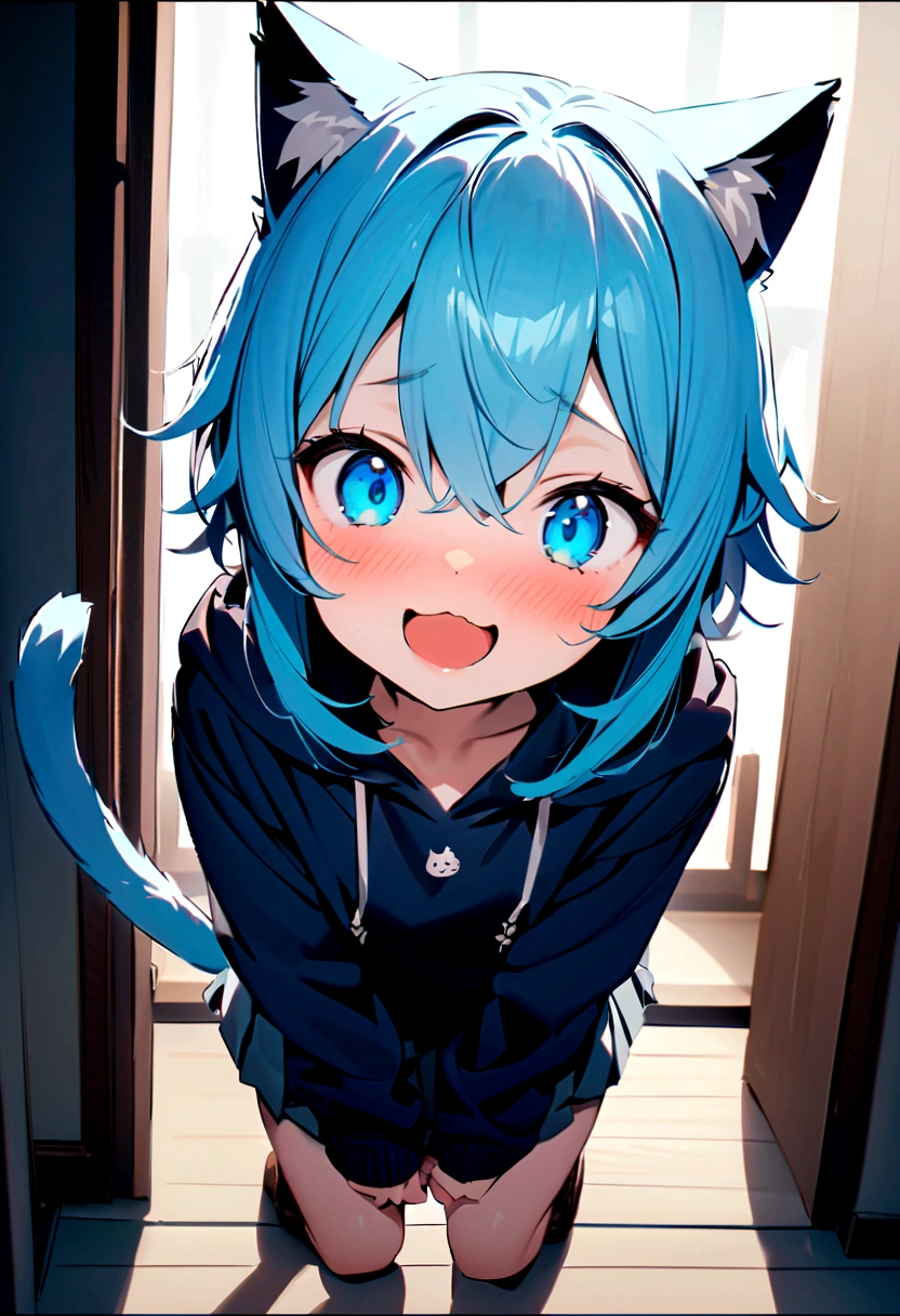 hoodieを着た男の子1名, Shota, Cat ear, Cat's Tail,, Embarrassed, (masterpiece), Highest quality, Expressive eyes, Perfect Face, smile, Open your mouth, Full Color, detailed, 8K, 4K, High resolution, Symmetric, Extraordinary cuteness, Best aesthetics, school uniform cute Light blue hair Odd Eye hoodie Naughty sexual behavior Sex
