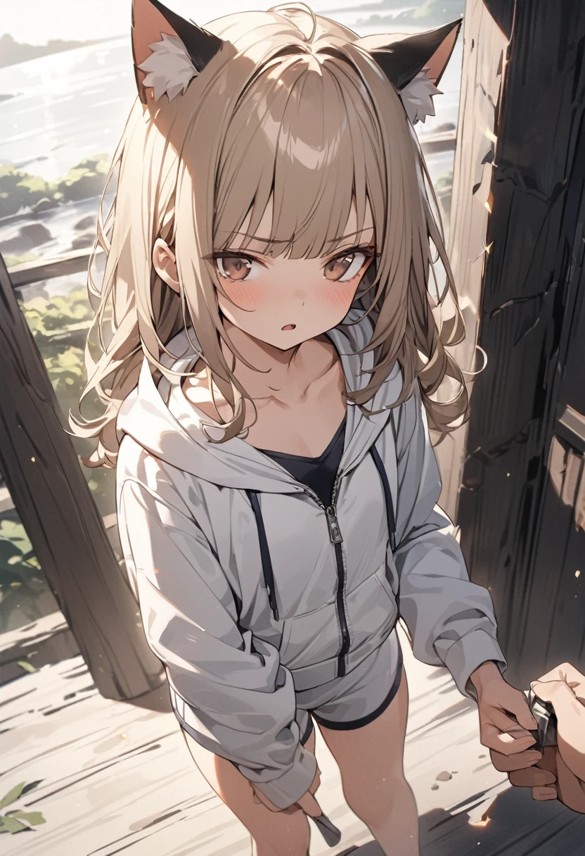 ((Masterpiece)), ((best quality)), (Anime:1.3), (super detail:1.2),(High Definition:1.3), (Professional Photography:1.2), (wide shot), (sharp focus), (perfect light), ((s old)), (morning), messy medium hair, Beautiful collarbone, (cute hoodie with zipper), cleavage, white tanktop, cute boxer shorts, (Healthy slim body), (loose blunt bangs), Slender body, glossy skin, (annoyed look), open mouth, ((Beautiful brown eyes)), Textured skin, (Cat ears), Pale brown hair, Cute Beautiful Girl, (slightly exposed small chest), BREAK, ((best quality)), Dynamic angles, ((Chopping hand)), standing on the riverside, (sharp focus), perfect hands, (perfect light),