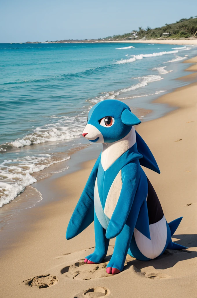 Pokémon, Riolu, Beach