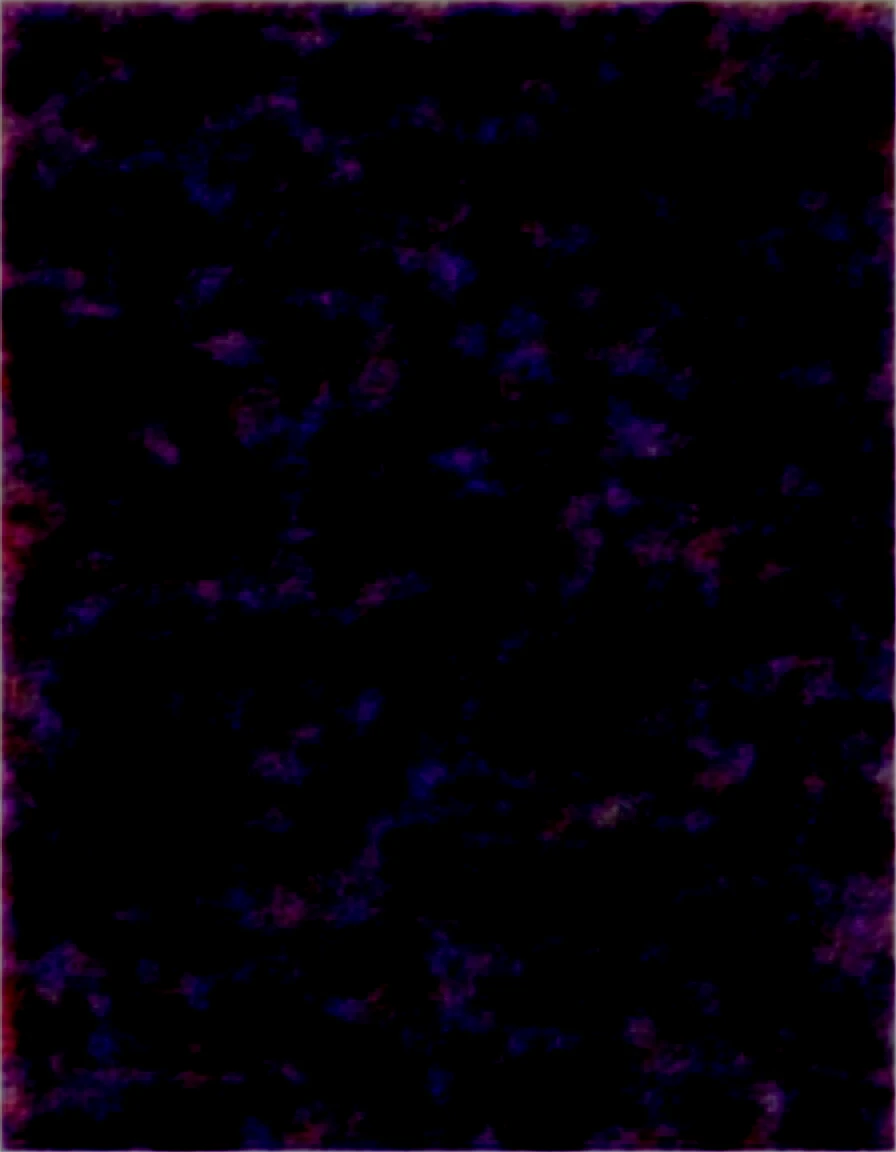 (masterpiece),(Highest quality),(Super detailed),(Best illustrations),(Best Shadow),(Absurd),(Detailed Background),(so beautiful), 16K,(Highest quality), 8K,(Best illustrations),(Best Shadow), (so beautiful), One girl, alone, Big Breasts, Long Hair, , , Hair between the eyes, , , empty eyes, blank eyes, , , , wrist cuffs, sweat, Pleated skirt , orgasm, afterglow, erotic smile, pussy, crimson lip, Beautiful nipples, bunny suit, , , Sexy posture, dynamic pose, , cross-eyed, rolling eyes, , garter belt, , , One devil tail, , , , saliva trail, full-face blush, Detailed super oily shiny skin, , , orgasm, , , arched back, , torogao, ahegao, BREAK, pink neon, Dramatic lighting, psychedelic, Clear liquid, Oculogyric crisis, night, dark church background, stained glass, colorful, neon disco, uni96,