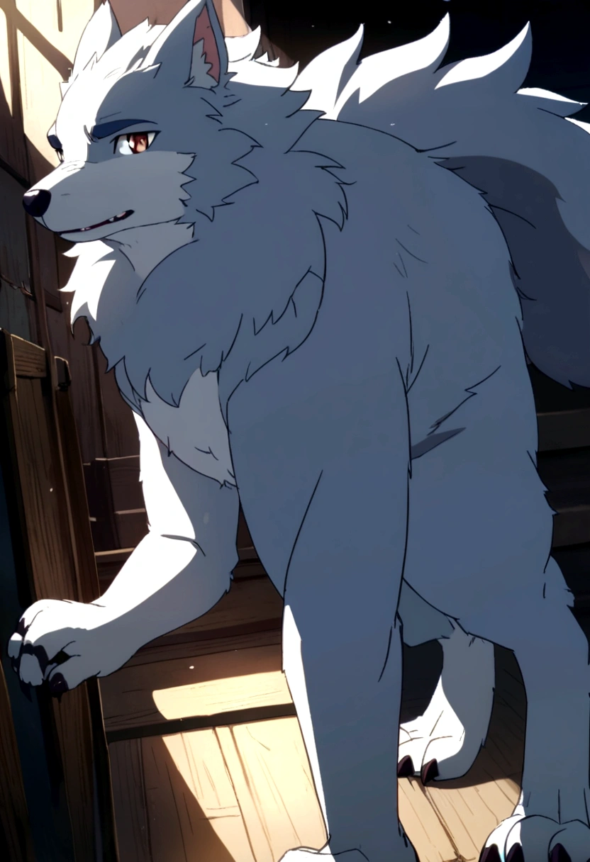 wolf furry, anime, boy