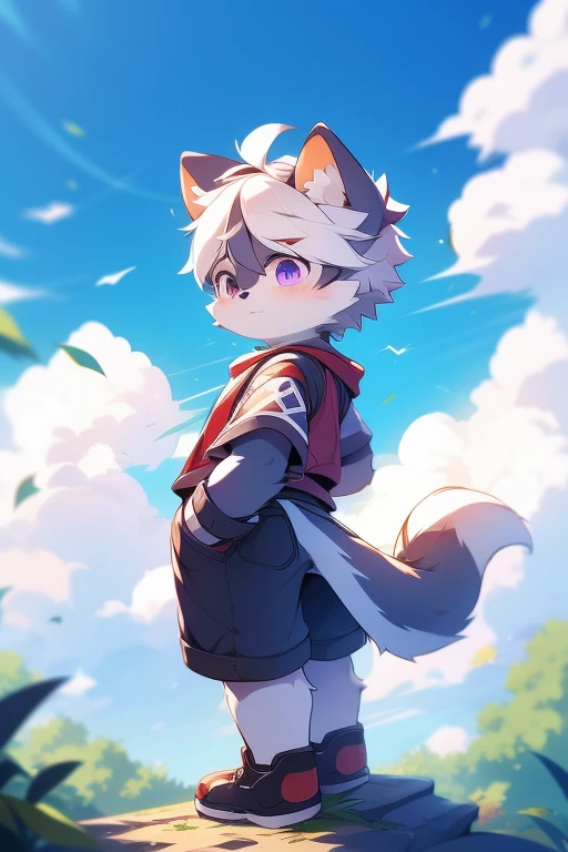 One person,Hairy man,Hairy body,show,Coyote,canid,Grey fur,Long white hair,The hair is purple,Purple eyes,Bullied,Adorable,good looking,Big tail,Full Body Lesbian,Standing on the Clouds,The Immortals,god々,Libido Boy,Shota