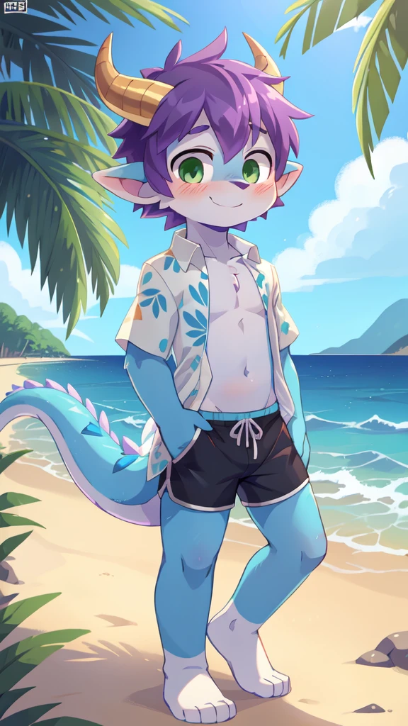 score_9,score_8_up,score_7_up, source_cartoon, source_furry, dragon boy, horns, green eyes, tail, purple hair, shota, , furry, blush, dragon tail, looking at viewer, smile, 1boy, dragon horns, pointy ears, , short hair, furry male, two tone body fur, blue body fur, clear blue body fur, ((white hawaiian shirt, open clothes, black swim trunks)), beach, clear sky