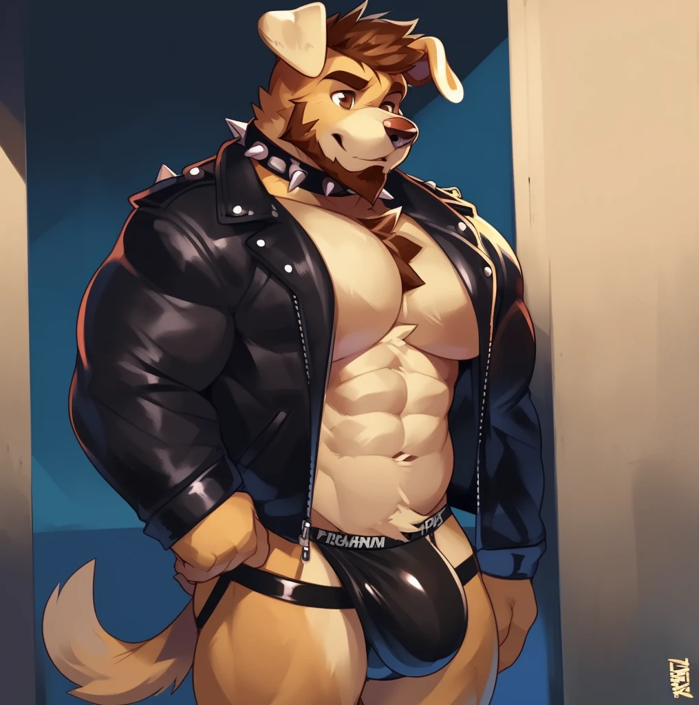 Solo, male (((retriever, brown eyes, brown iris, black pupils, muscular, big pecs, abs, folded ears, brown body, tan fur, brown hair, beard, chest tuft, tail, spiked collar, leather jacket, black jockstrap, big bulge))) standing, flustered expression, full body, perfect anatomy, by darkgem, by mystikfox61, by glitter trap boy