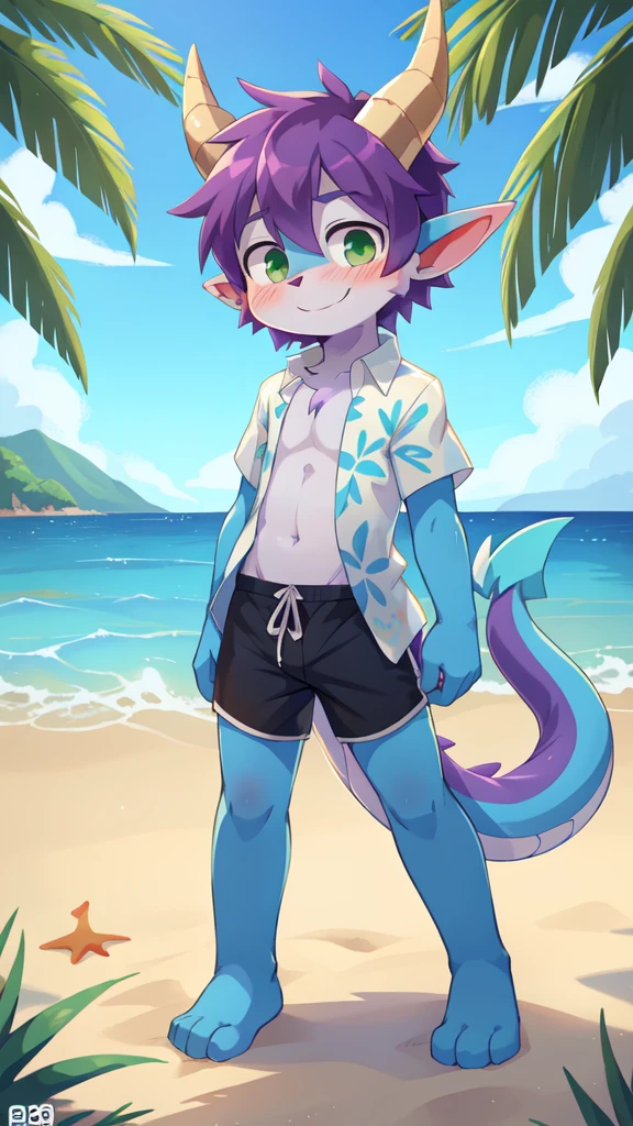 score_9,score_8_up,score_7_up, source_cartoon, source_furry, dragon boy, horns, green eyes, tail, purple hair, shota, , furry, blush, dragon tail, looking at viewer, smile, 1boy, dragon horns, pointy ears, , short hair, furry male, two tone body fur, blue body fur, clear blue body fur, ((white hawaiian shirt, open clothes, black swim trunks)), feets with three toes, 3 toes, beach, clear sky