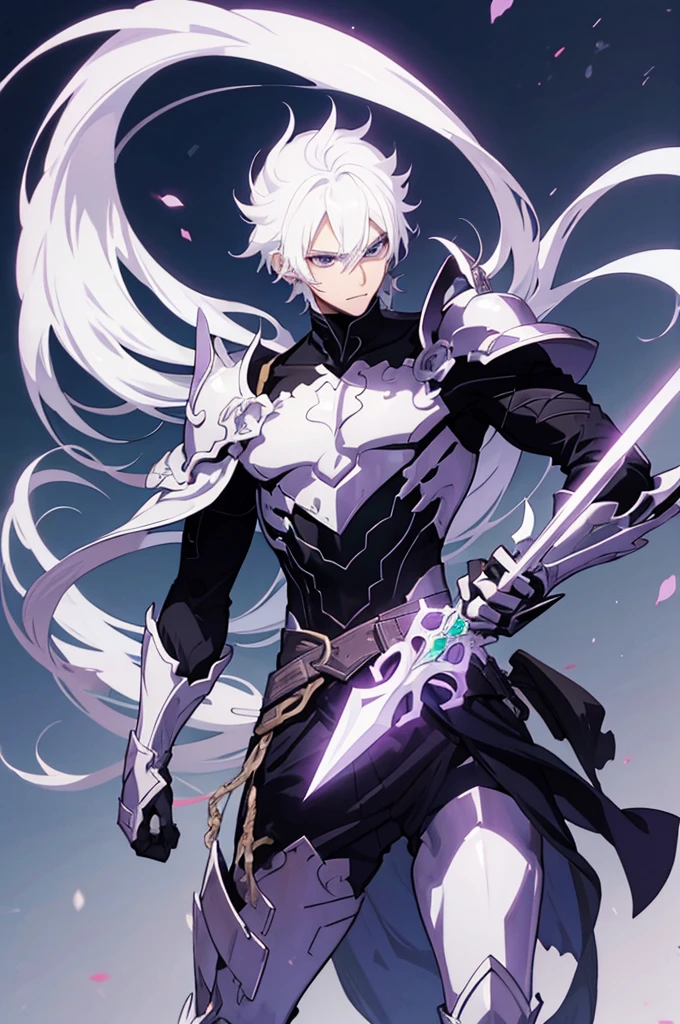 A 25 years old anime man with white hair, holding two Daggers, Wearing a dark and purple Armor