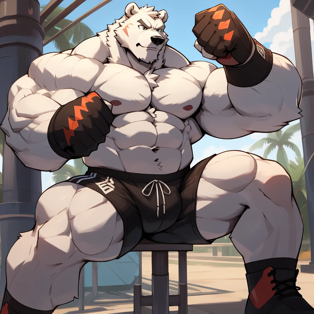 Huge muscular thick white fur Polar Bear bodybuilder shirtless in blue MMA shorts, MMA gloves and MMA foot wear training for the MMA tournament. Punching and kicking workout.