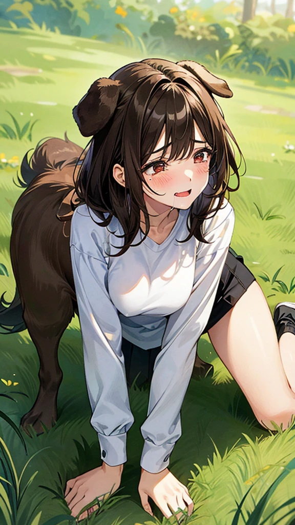 Masterpiece, top quality, highest definition, one adult female, slit eyes, dark hair, one length, brown eyes, model like, beautiful, perfect proportions. Shirt, mini tight skirt. She is ???????????? in a grassy field. A large dog is mounted on her back, and she and the large dog are ??????. The dog is holding the woman's back.
The woman's face is bright red and flushed, her mouth open and both eyes closed,
She looks like she is crying.
