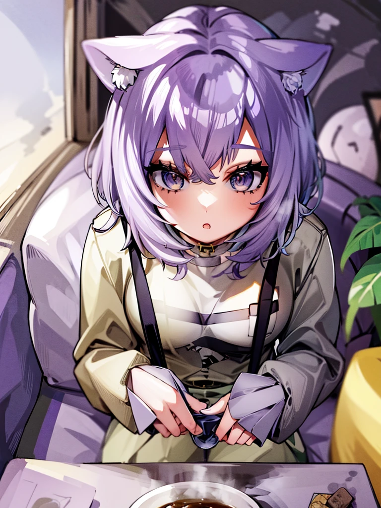 Cat and small porridge