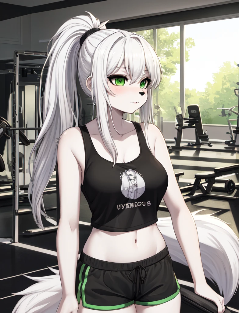 furry, curvy wolf woman, cute, white wolf, wearing a tank top and shorts, green eyes, long white hair in a ponytail , in gym, hand drawn, 2D, comic realism, warm lighting, one person, pluse sized