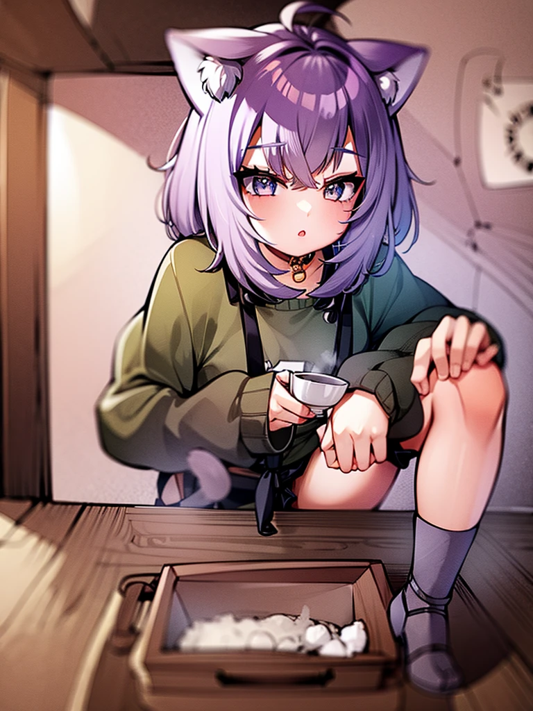 Cat and small porridge