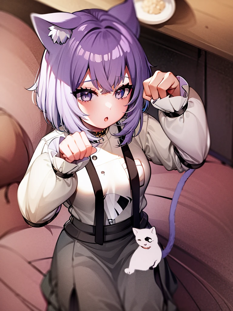 Cat and small porridge