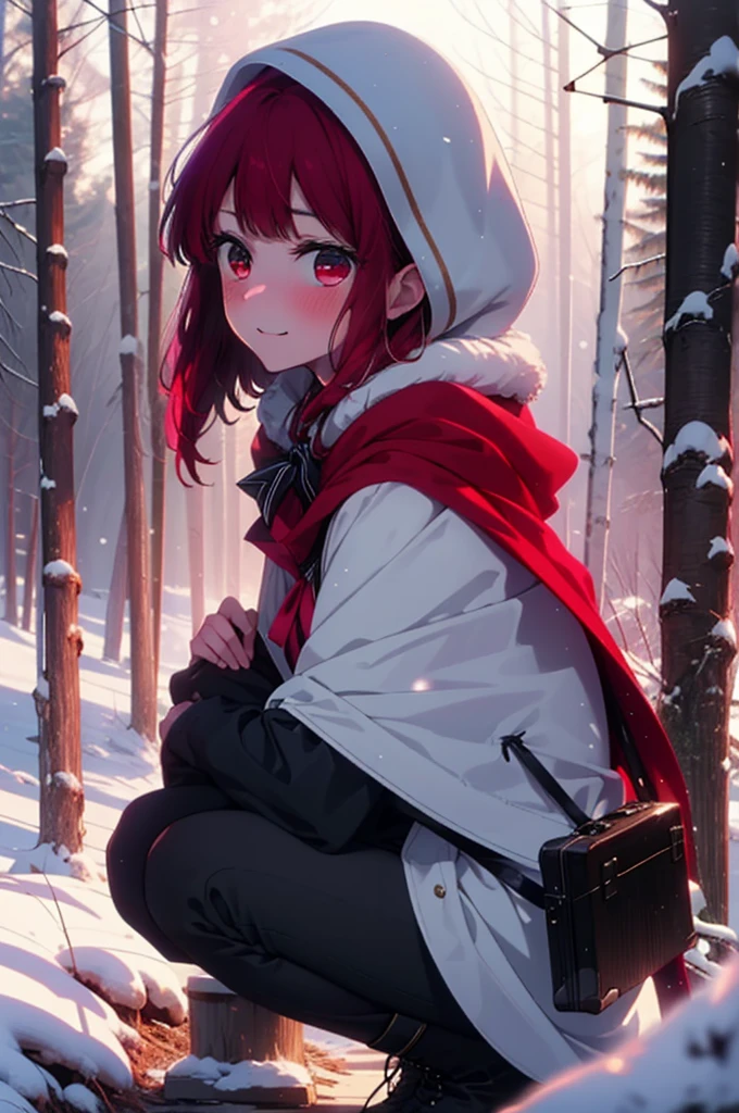 canary, Arima etc.., Long Hair,bangs, (Red eyes:1.3), Redhead, smile,Small breasts,ribbon,smile,blush,White Breath,
Open your mouth,snow,Ground bonfire, Outdoor, boots, snowing, From the side, wood, suitcase, Cape, Blurred, , forest, White handbag, nature, Squat, Mouth closed, Cape, winter, Written boundary depth, Black shoes, red Cape break looking at viewer, Upper Body, whole body, break Outdoor, forest, nature, break (masterpiece:1.2), Highest quality, High resolution, unity 8k wallpaper, (shape:0.8), (Beautiful and beautiful eyes:1.6), Highly detailed face, Perfect lighting, Extremely detailed CG, (Perfect hands, Perfect Anatomy),