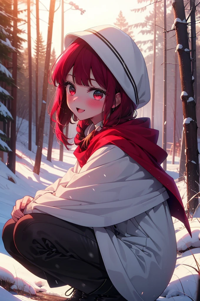 canary, Arima etc.., Long Hair,bangs, (Red eyes:1.3), Redhead, smile,Small breasts,ribbon,smile,blush,White Breath,
Open your mouth,snow,Ground bonfire, Outdoor, boots, snowing, From the side, wood, suitcase, Cape, Blurred, , forest, White handbag, nature, Squat, Mouth closed, Cape, winter, Written boundary depth, Black shoes, red Cape break looking at viewer, Upper Body, whole body, break Outdoor, forest, nature, break (masterpiece:1.2), Highest quality, High resolution, unity 8k wallpaper, (shape:0.8), (Beautiful and beautiful eyes:1.6), Highly detailed face, Perfect lighting, Extremely detailed CG, (Perfect hands, Perfect Anatomy),