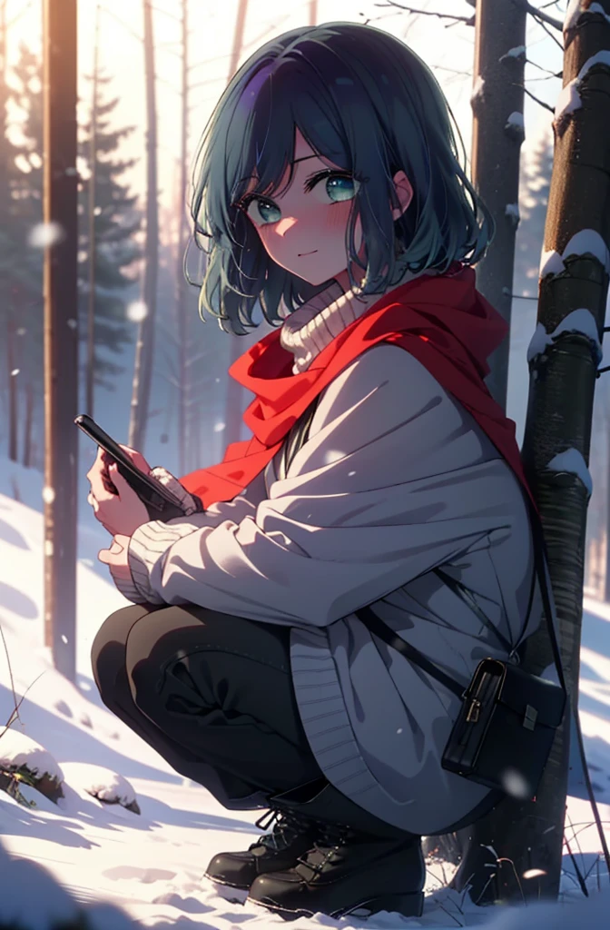 akanekurokawa, akane kurokawa, bangs, (Green Eyes:1.3), Blue Hair, Medium Hair, dark Blue Hair,smile,blush,White Breath,
Open your mouth,snow,Ground bonfire, Outdoor, boots, snowing, From the side, wood, suitcase, Cape, Blurred, , forest, White handbag, nature, Squat, Mouth closed, Cape, winter, Written boundary depth, Black shoes, red Cape break looking at viewer, Upper Body, whole body, break Outdoor, forest, nature, break (masterpiece:1.2), Highest quality, High resolution, unity 8k wallpaper, (shape:0.8), (Beautiful and beautiful eyes:1.6), Highly detailed face, Perfect lighting, Extremely detailed CG, (Perfect hands, Perfect Anatomy),