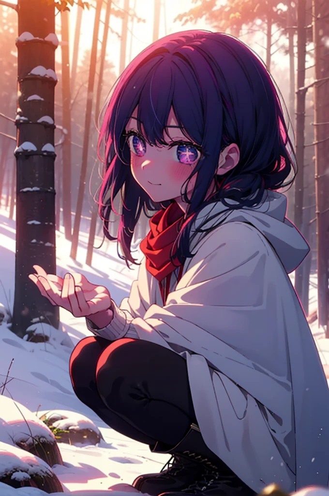 aihoshino, Ai Hoshino, Long Hair, bangs, (Purple eyes:1.1), Purple Hair, (Symbol-shaped pupil:1.5), smile,,smile,blush,White Breath,
Open your mouth,snow,Ground bonfire, Outdoor, boots, snowing, From the side, wood, suitcase, Cape, Blurred, , forest, White handbag, nature, Squat, Mouth closed, Cape, winter, Written boundary depth, Black shoes, red Cape break looking at viewer, Upper Body, whole body, break Outdoor, forest, nature, break (masterpiece:1.2), Highest quality, High resolution, unity 8k wallpaper, (shape:0.8), (Beautiful and beautiful eyes:1.6), Highly detailed face, Perfect lighting, Extremely detailed CG, (Perfect hands, Perfect Anatomy),