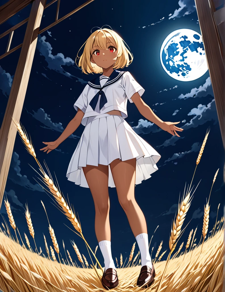 Highest quality, masterpiece, Ultra-high resolution, One girl,

blondes、Smooth Hair、Two-tone hair、Bobcut、Red Eyes、Sparkling Eyes、Detailed eyes、Slanted Eyes、Tanned, wheat-colored skin、Brown Skin、Traditional deep green sailor suit、White socks、loafers、whole body、Low - Angle、Fanning angles、Fantastic scene、Standing with your legs apart、Arms crossed、Confident expression、The full moon appears to be the same size as the large white body、god々Cool atmosphere、A ruined world、White Moon
