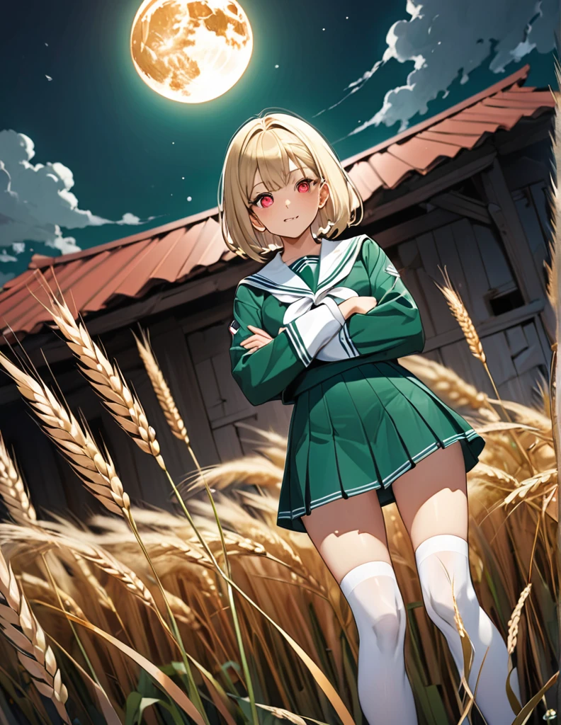 Highest quality, masterpiece, Ultra-high resolution, One girl,
blondes、Smooth Hair、Two-tone hair、Bobcut、Red Eyes、Sparkling Eyes、Detailed eyes、Slanted Eyes、Tanned, wheat-colored skin、Brown Skin、Traditional deep green sailor suit、White socks、loafers、whole body、Low - Angle、Fanning angles、Fantastic scene、Standing with your legs apart、Arms crossed、Confident expression、The full moon appears to be the same size as the large white body、god々Cool atmosphere、A ruined world、White Moon