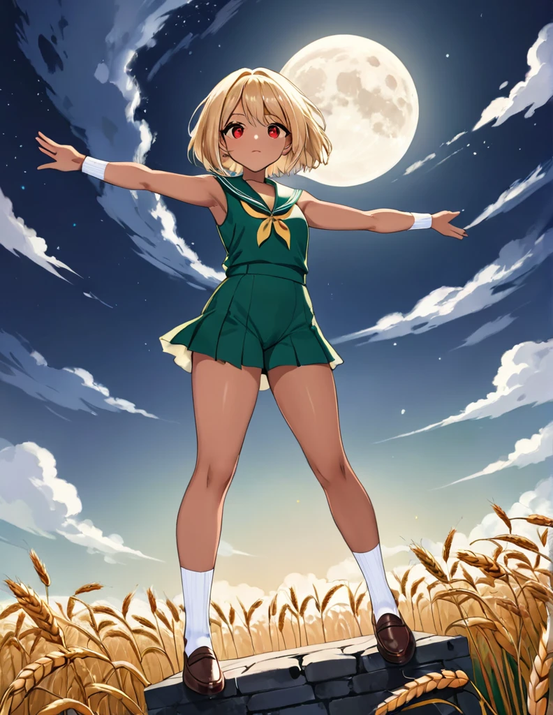 Highest quality, masterpiece, Ultra-high resolution, One girl,

Blonde、Smooth Hair、Two-tone hair、Bobcut、Red Eyes、Sparkling Eyes、Detailed eyes、Slanted Eyes、Tanned, wheat-colored skin、Brown Skin、Chocolate skin、Traditional deep green sailor suit、White socks、loafers、whole body、Low - Angle、Fanning angles、Big Moon、Fantastic scene、Standing with your legs apart、Arms crossed、Confident expression