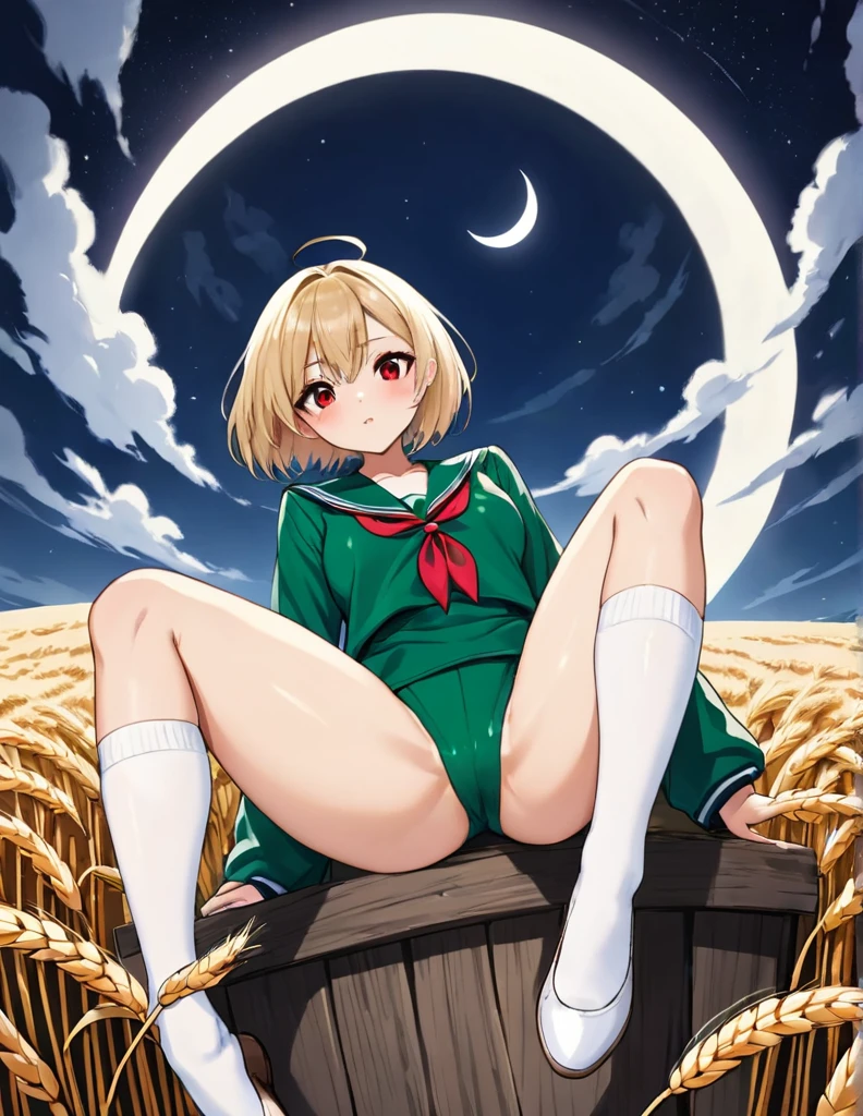 Highest quality, masterpiece, Ultra-high resolution, One girl,
blondes、Smooth Hair、Two-tone hair、Bobcut、Red Eyes、Sparkling Eyes、Detailed eyes、Slanted Eyes、Tanned, wheat-colored skin、Brown Skin、Traditional deep green sailor suit、White socks、loafers、whole body、Low - Angle、Fanning angles、Fantastic scene、Standing with your legs apart、Arms crossed、Confident expression、The full moon appears to be the same size as the large white body、god々Cool atmosphere、A ruined world、White Moon