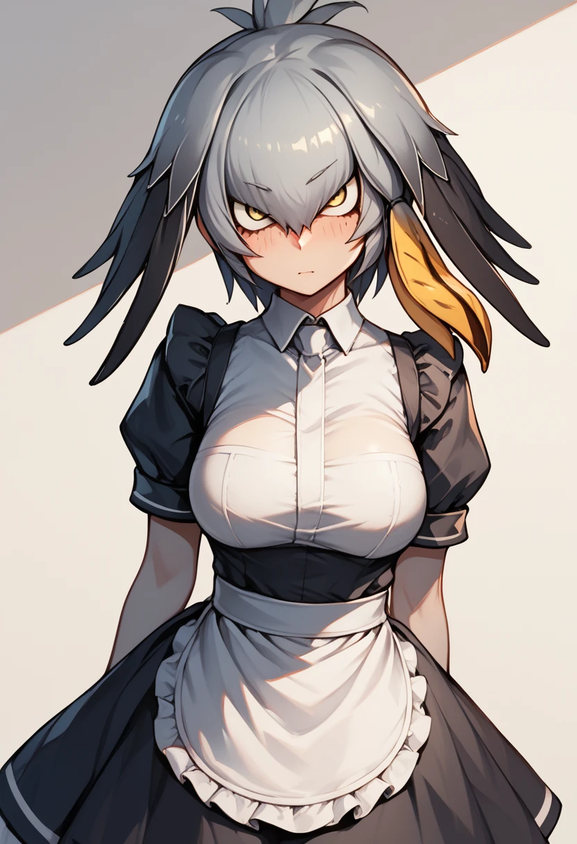 Score_9, Score_8_up, Score_7_up, Score_6_up, Score_5_up, Score_4_up, source_anime, 1girl, nsfw, rating_explicit, shoebill, grey hair,sidelocks,hair between eyes,black hair,head wings,shirt,long hair, maid, black maid uniform, breasts out