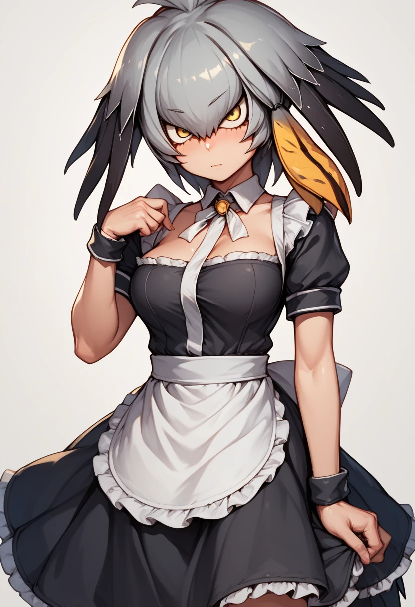 Score_9, Score_8_up, Score_7_up, Score_6_up, Score_5_up, Score_4_up, source_anime, 1girl, nsfw, rating_explicit, shoebill, grey hair,sidelocks,hair between eyes,black hair,head wings,shirt,long hair, maid, black maid uniform, breasts out