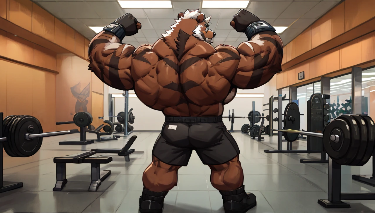 solo, 1boy, Huge Muscular Old Grizzly Bear wearing glasses , pectoral, huge pectoral, wide pectoral, short white hair, short pants black wristbands and shirtless , bearded, Mustache, gym background, backside, 
masterpiece, high detailed, 8k, high resolution, at the gym working out his back on the lat pulldown cable machine weighing over 100lbs and 45kgs of weights pushing up the limits