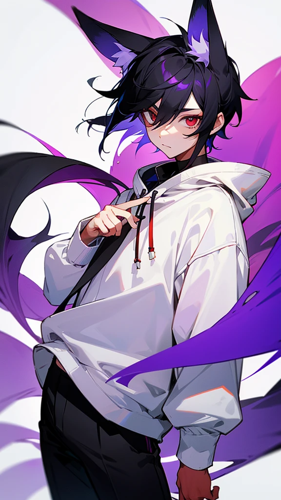 A boy with white and black hair, fair skin and red right eye, and the left one in purple and with fox ears, wearing a white sweatshirt and black pants