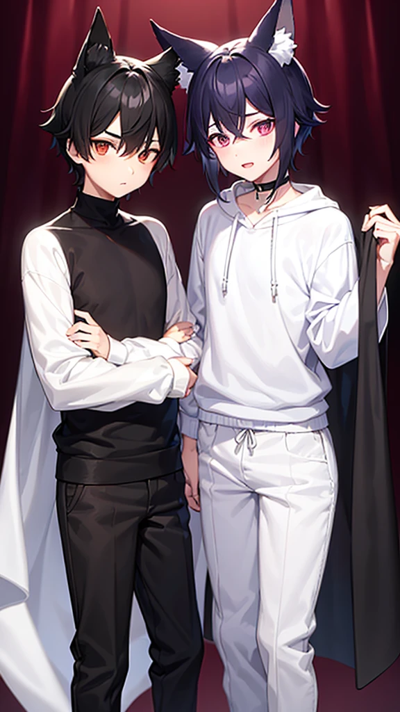 A boy with white and black hair, fair skin and red right eye, and the left one in purple and with fox ears, wearing a white sweatshirt and black pants