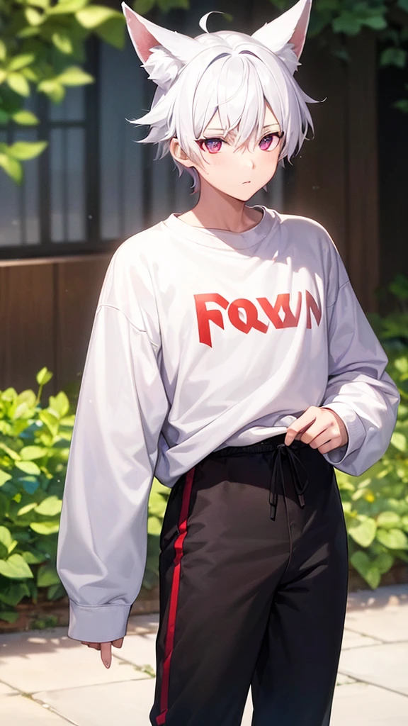 A boy with white hair, fair skin and red right eye, and the left eye is purple and has fox ears, wearing a white sweatshirt and black pants