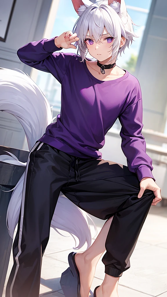 A boy with white hair, fair skin, purple eyes and fox ears and tail, wearing a white sweatshirt and black pants 