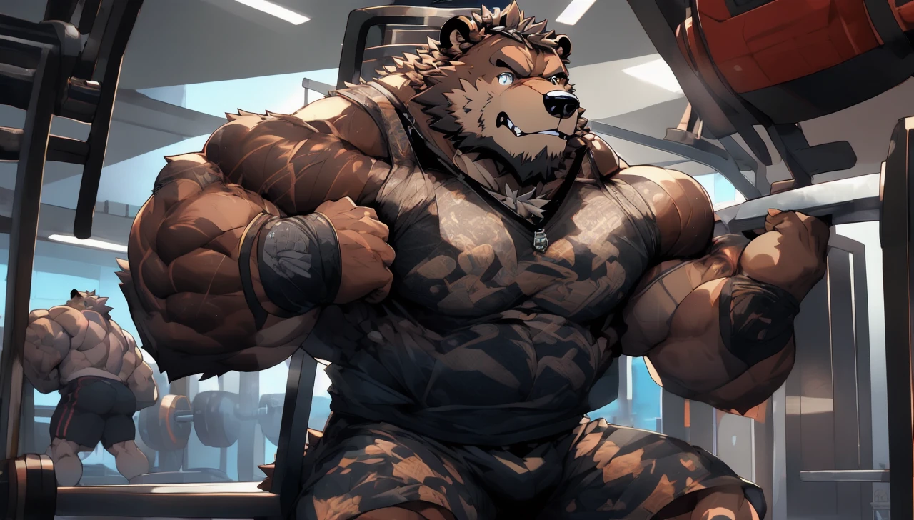 Big brown furry kodiak muscle bear with huge muscles with black gym shorts, black gym shoes and black wristbands at the gym doing incline bench presses sweating off with veins