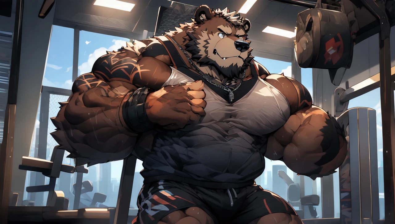 Big brown furry kodiak muscle bear with huge muscles with black gym shorts, black gym shoes and black wristbands at the gym doing incline bench presses sweating off with veins