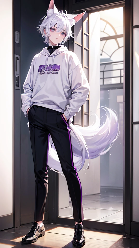 A boy with white hair, fair skin, purple eyes and fox ears and tail, wearing a white sweatshirt and black pants