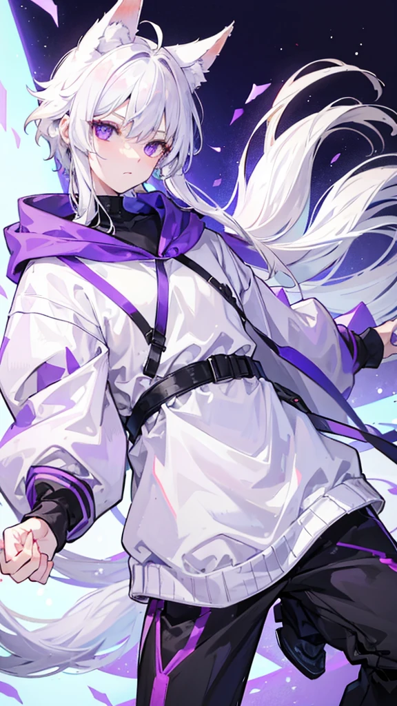 A boy with white hair, fair skin, purple eyes and fox ears and tail, wearing a white sweatshirt and black pants