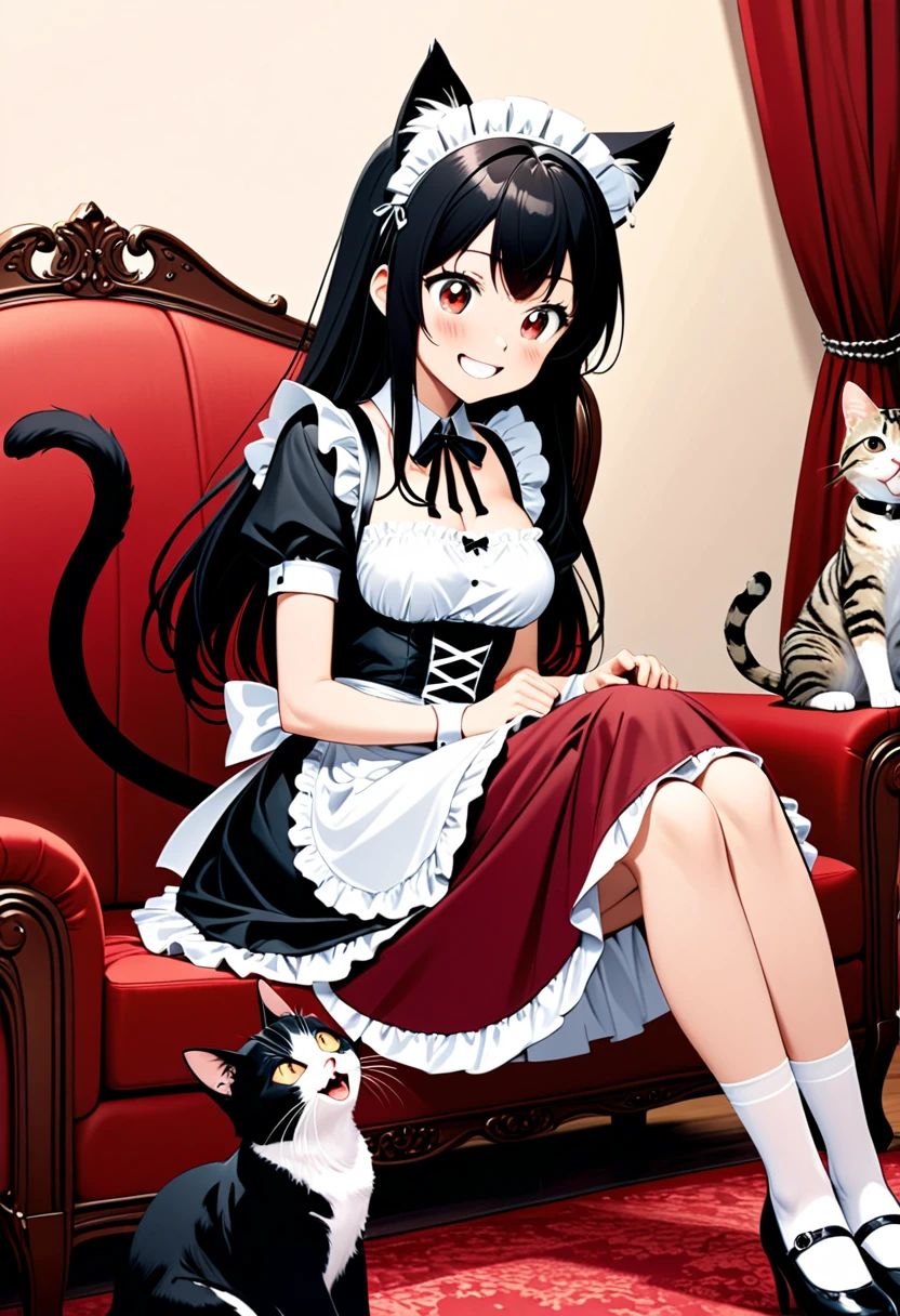 detailed illustration, dynamic angle, ultra-detailed, illustration, 1girl, medium breasts, sitting on a red velvet couch, catgirl, cats, black hair, long hair, cat ears, cat tail, french maid outfit, smiling, happy, eager, loving,