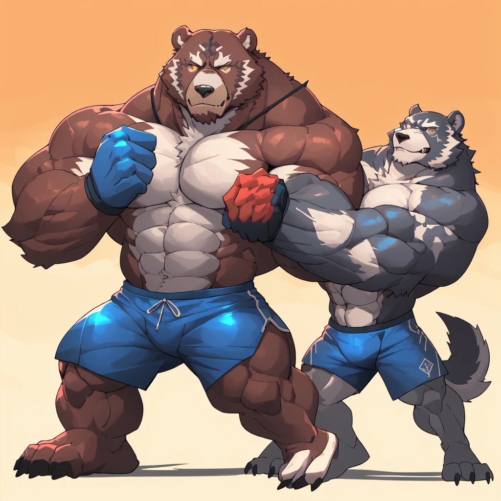 Huge muscular thick Grizzly Bear bodybuilder shirtless in blue MMA shorts, blue MMA gloves and blue foot wear, muscular Husky Dog bodybuilder shirtless in red MMA shorts, red MMA gloves and red foot wear, at the MMA tournament. MMA Grizzly bear vs MMA Huku challenger. Fighting match