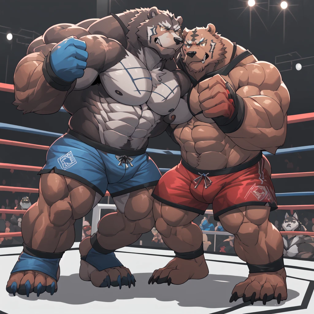 Huge muscular thick Grizzly Bear bodybuilder shirtless in blue MMA shorts, blue MMA gloves and blue foot wear, muscular Husky Dog bodybuilder shirtless in red MMA shorts, red MMA gloves and red foot wear, at the MMA tournament. MMA Grizzly bear vs MMA Huku challenger. Fighting match
